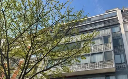 Appartement rénové à vendre, 4 pièces, 102 m²
