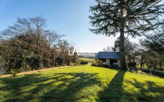 Propriété unique, prairies, carrière et box chevaux