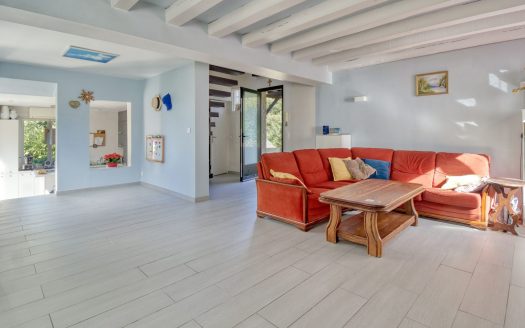 Grande maison avec dépendance